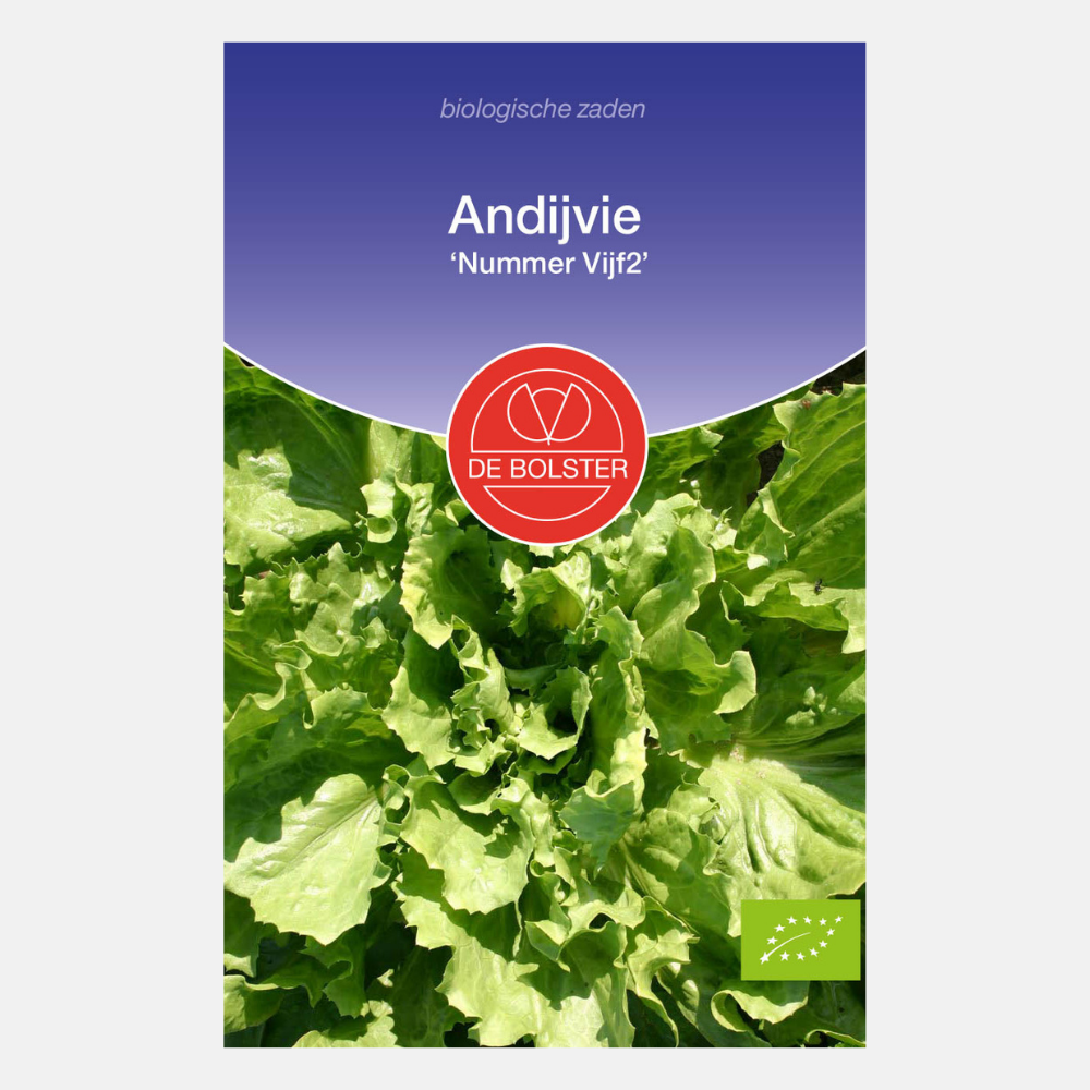 Andijvie 'Nummer Vijf2' BIO