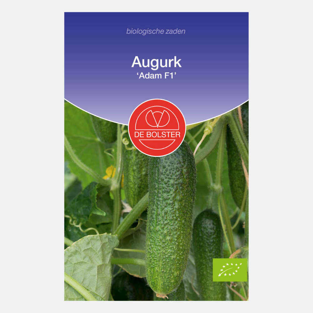 Augurk 'Adam F1' BIO