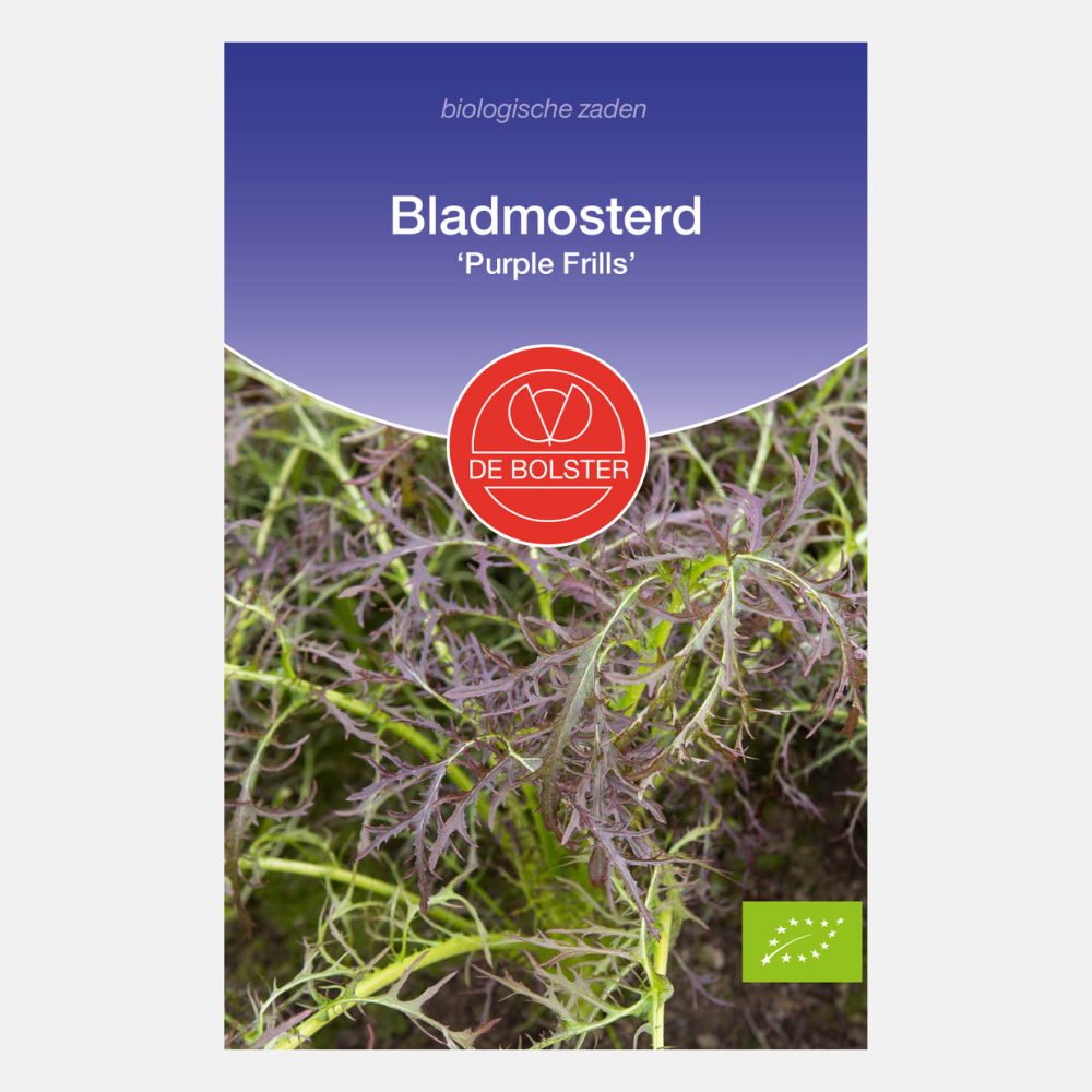 Bladmosterd 'Purple Frills' BIO