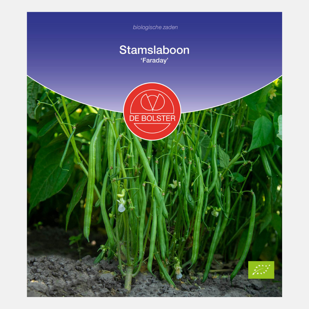 Stamslaboon 'Faraday' BIO