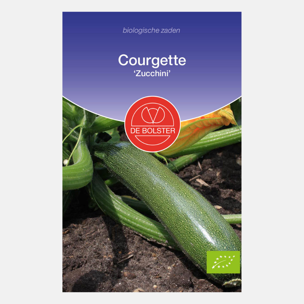 Courgette 'Zucchini' BIO
