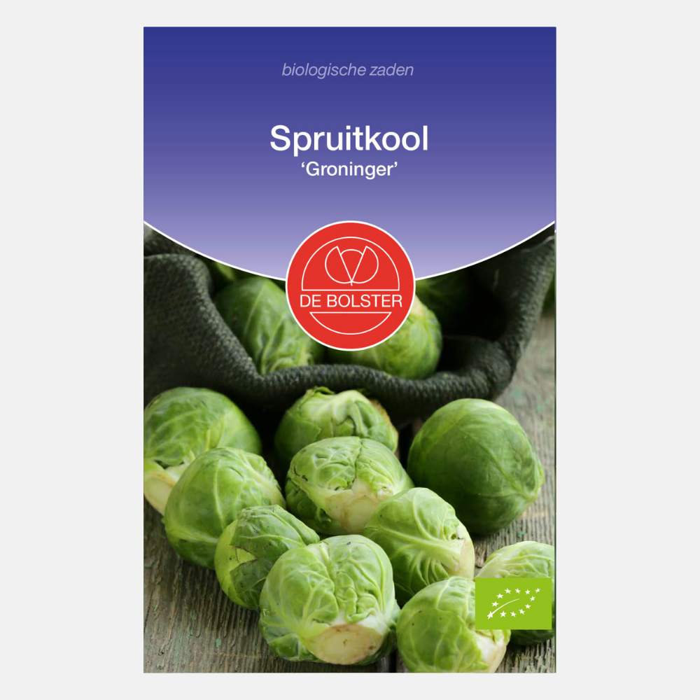 Choux de Bruxelles 'Groninger' BIO