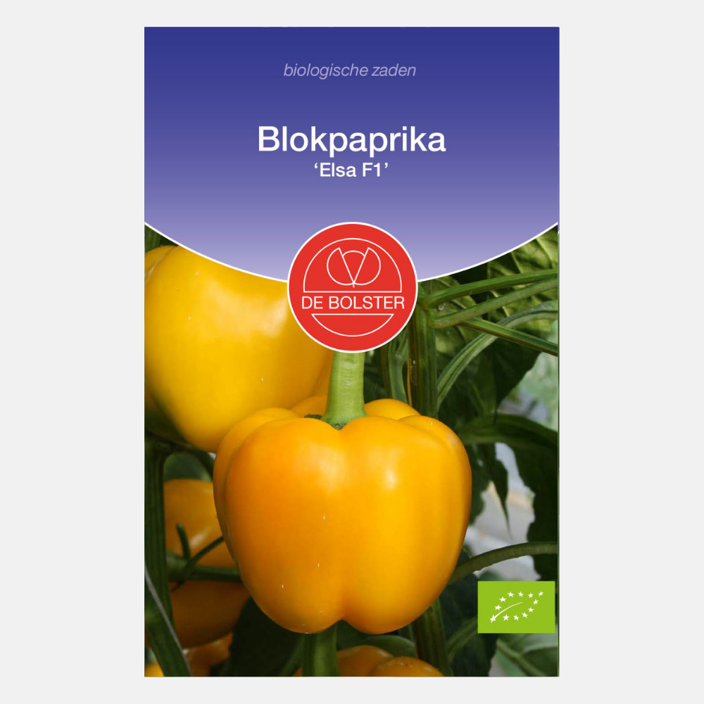 Bell pepper 'Elsa F1' BIO