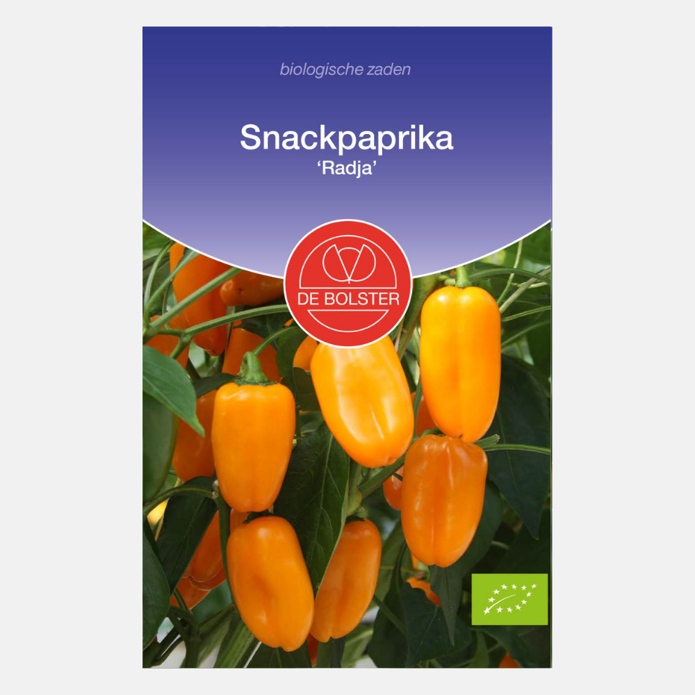 Snack pepper 'Radja' BIO