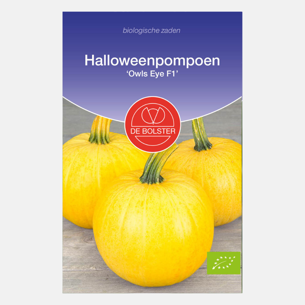 Halloweenpompoen 'Owls Eye F1' BIO