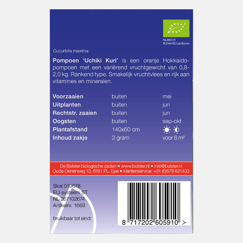 Pumpkin 'Uchiki Kuri' BIO