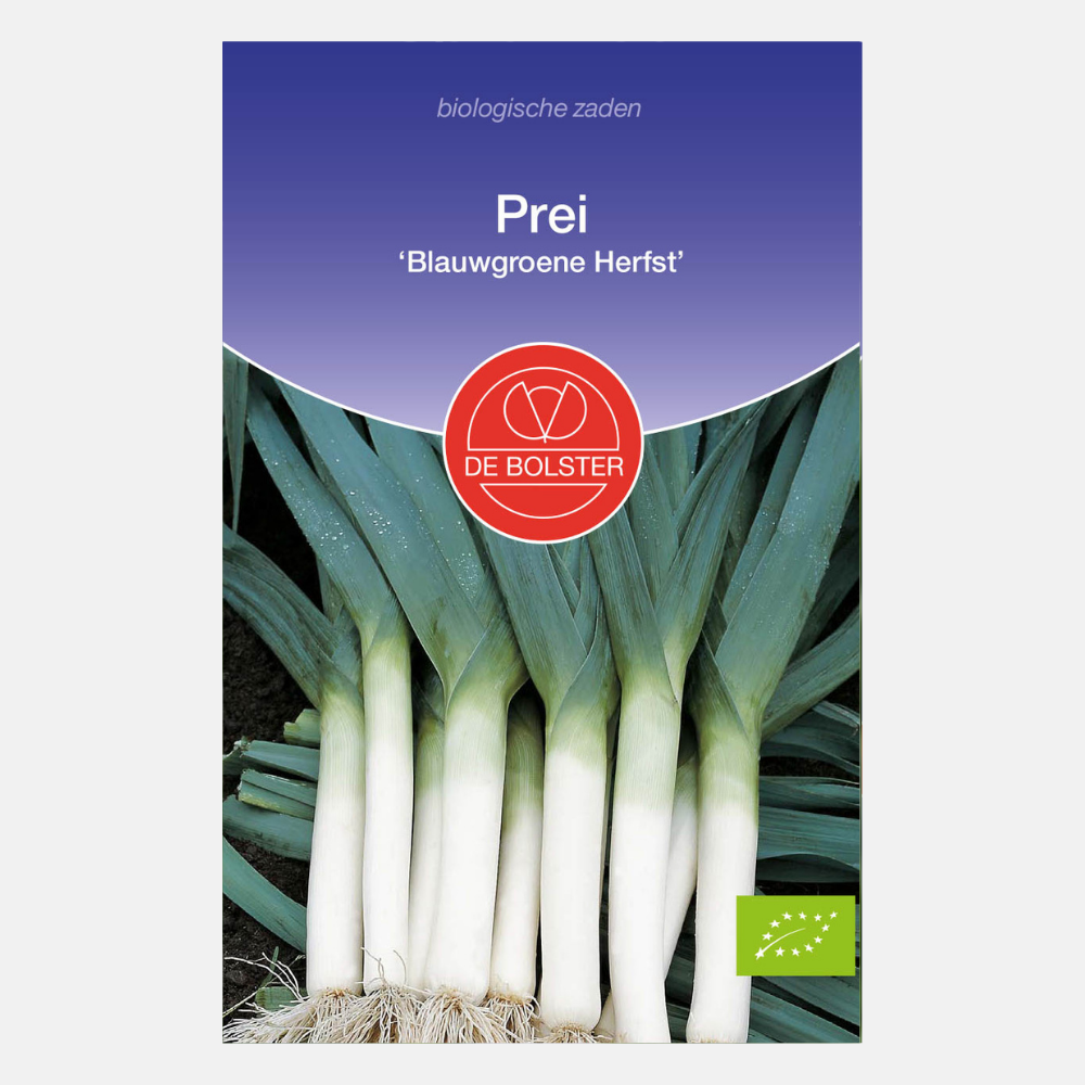 Prei 'Blauwgroene Herfst' BIO