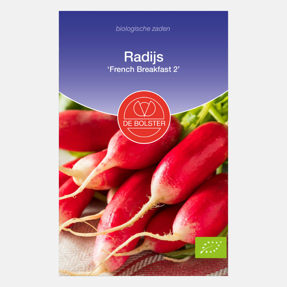 Radish 'French Breakfast 2' BIO