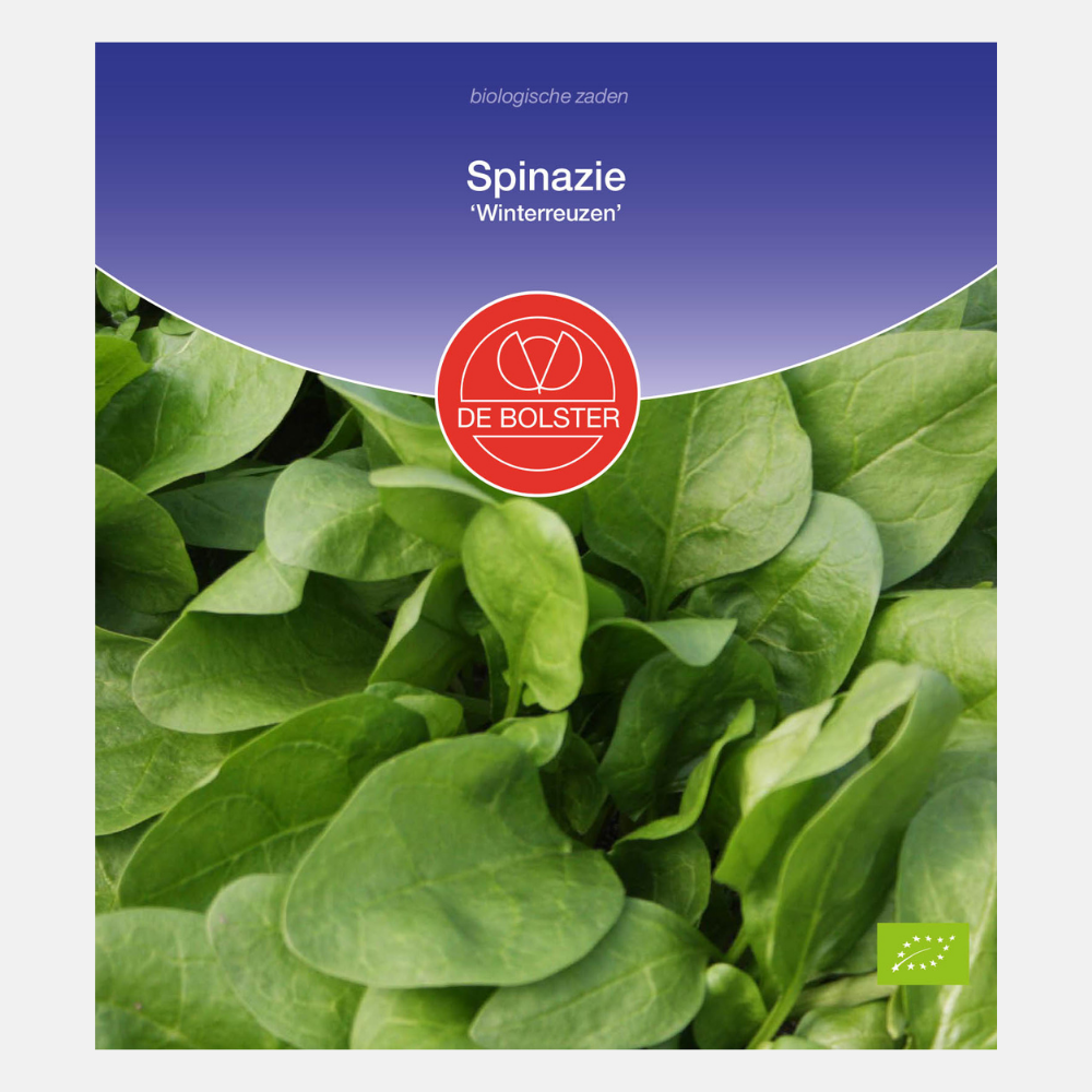 Spinazie 'Winterreuzen' BIO