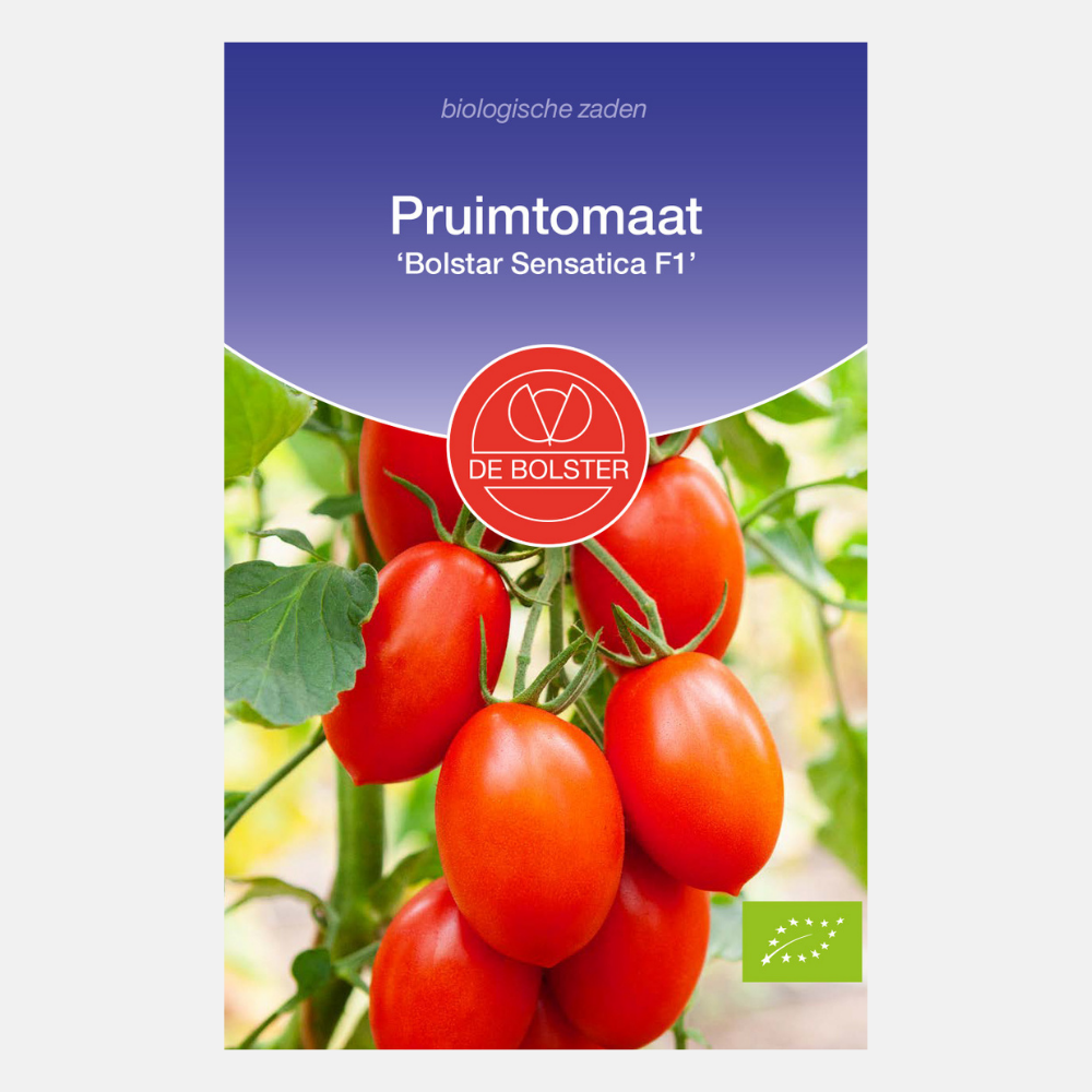 Tomate italienne 'Bolstar Sensatica F1' BIO
