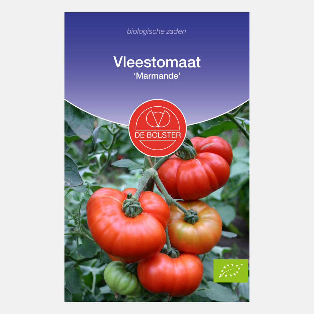 Beefsteak tomato 'Marmande' BIO