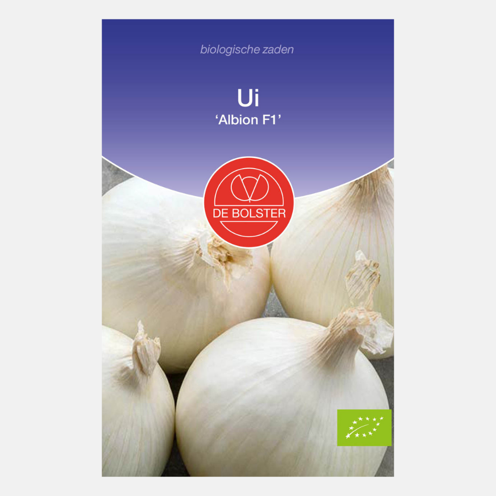 Onion 'Albion F1' BIO