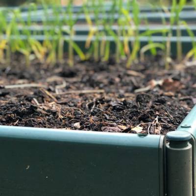 Bac à légumes de 25 cm de haut - 1,25 mètre de large (choisissez la longueur)