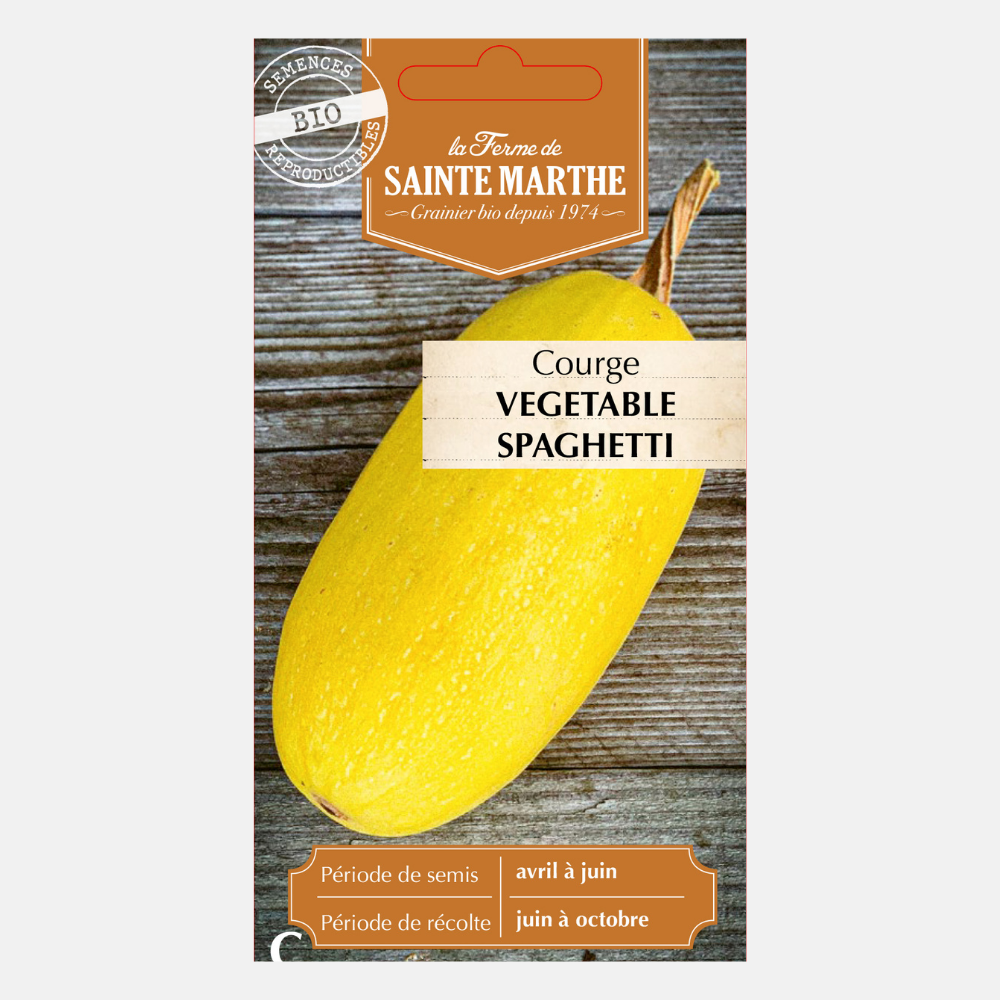 Spaghettipompoen BIO
