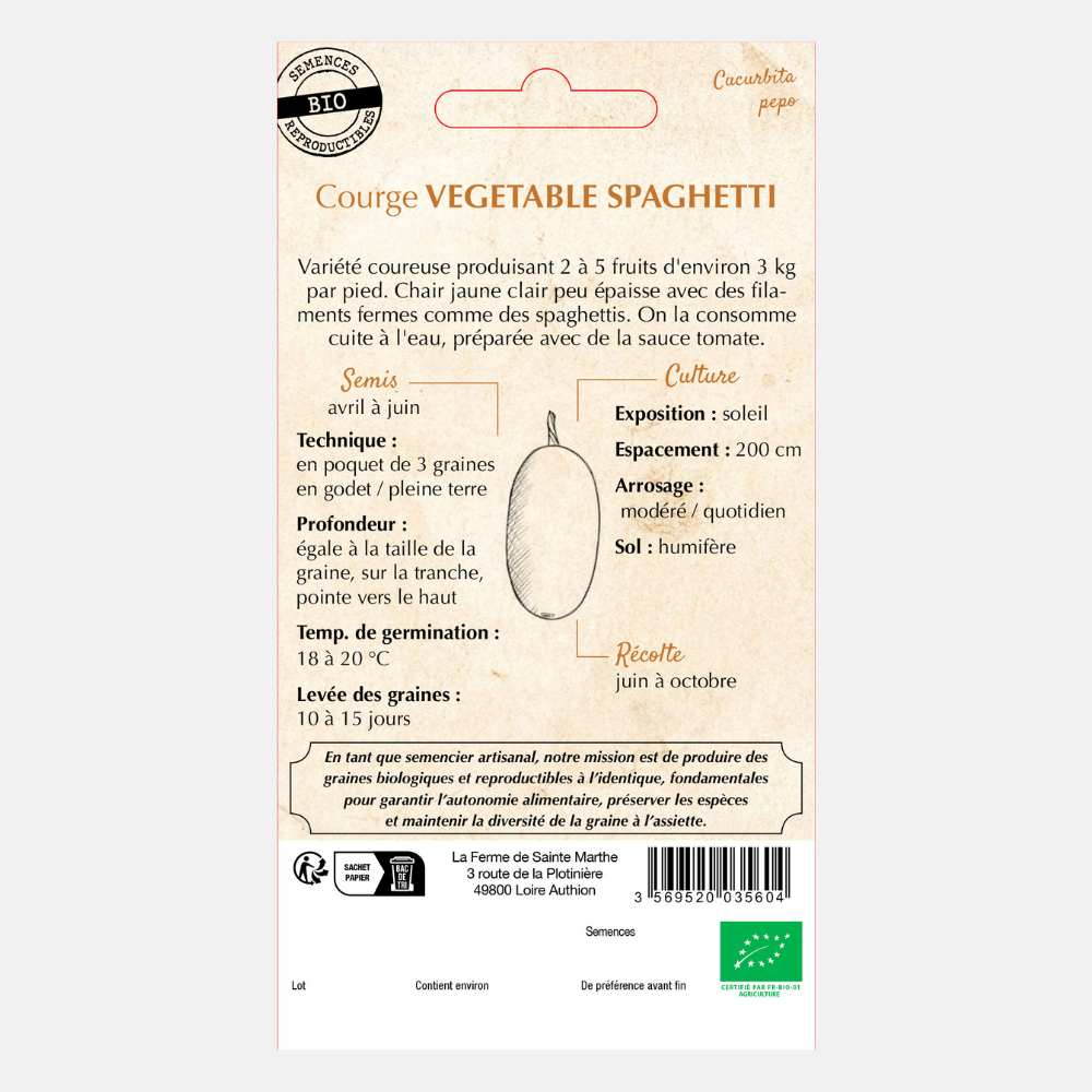 Spaghettipompoen BIO