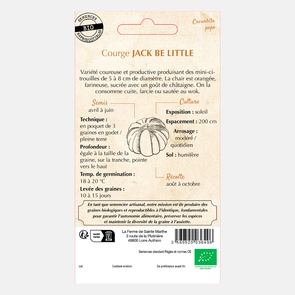 Pompoen 'Jack Be Little' BIO