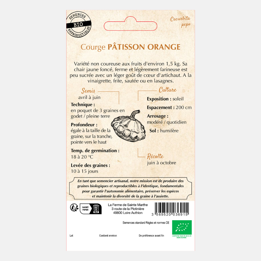Pumpkin 'Patisson Orange' BIO