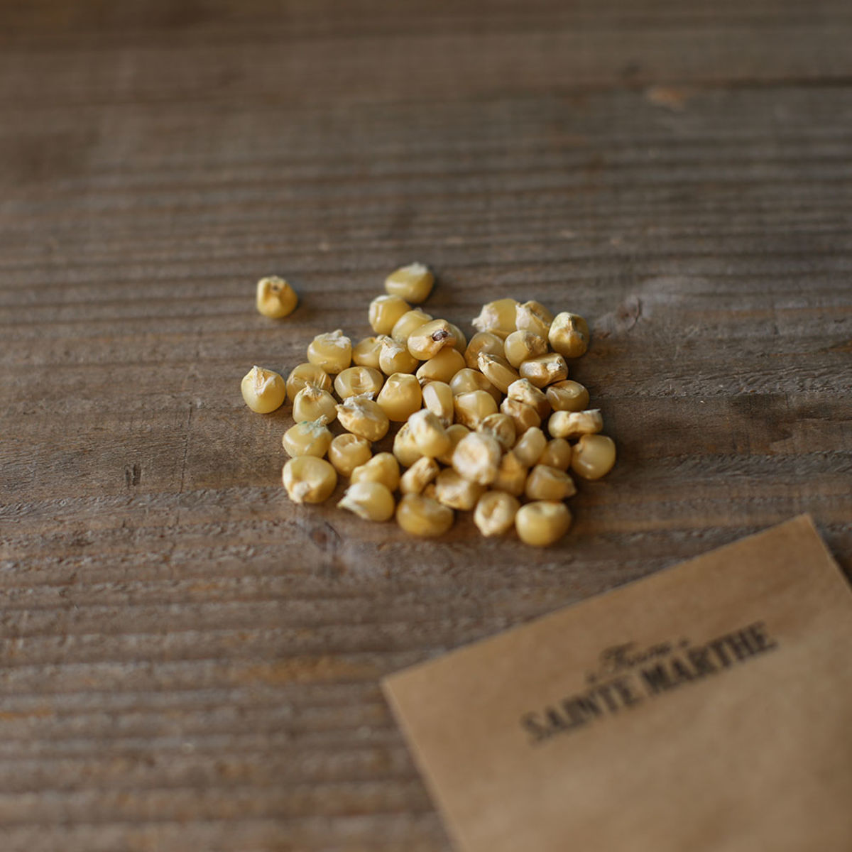 Suikermaïs 'Miner' BIO