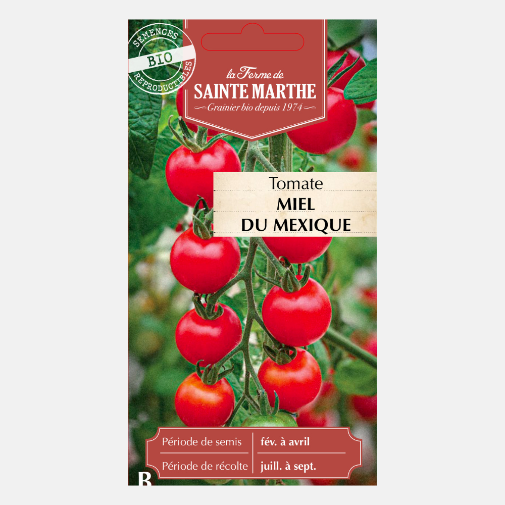 Honingtomaat 'Miel de Tomate' BIO
