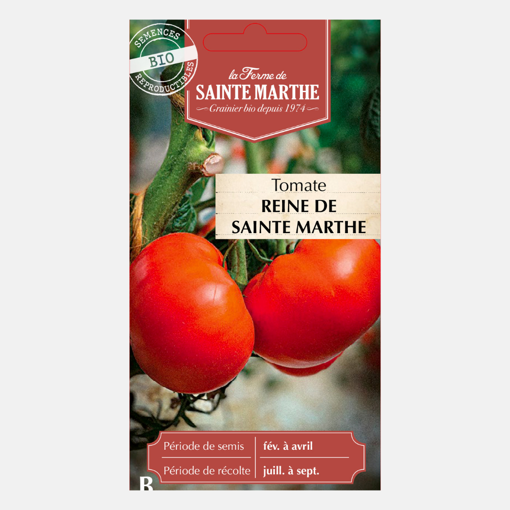 Tomate 'Reine de Sainte Marthe' BIO