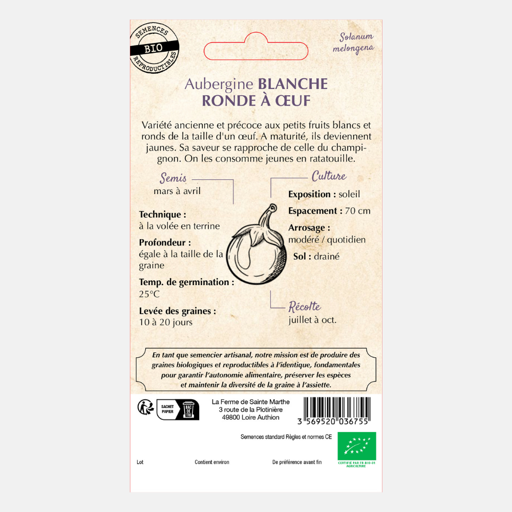 Aubergine en pot 'Blanche ronde à oeufs' BIO