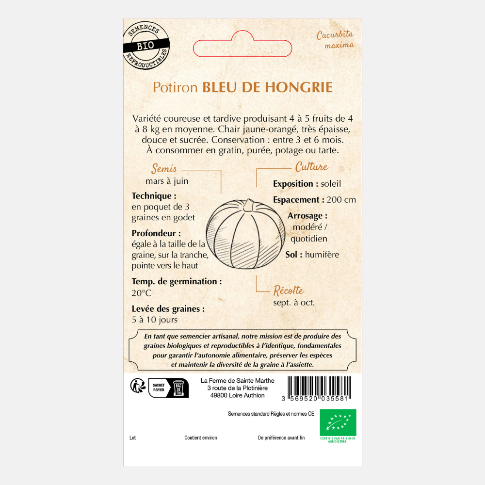 Pompoen 'Bleu de Hongrie' BIO