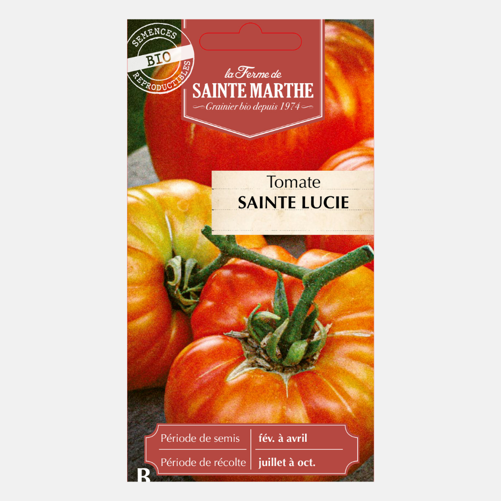 Tomato 'Sainte Lucie' BIO