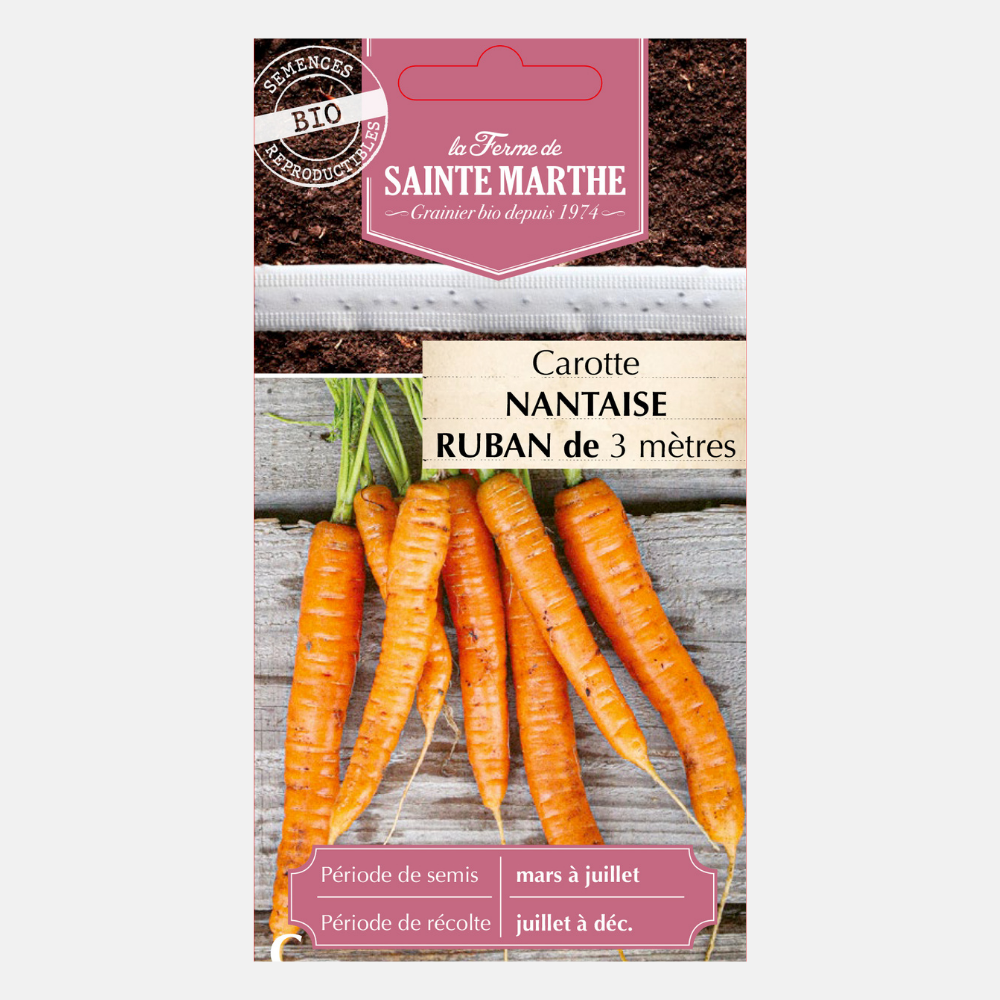 Ruban de semences de carotte 'Nantes' BIO