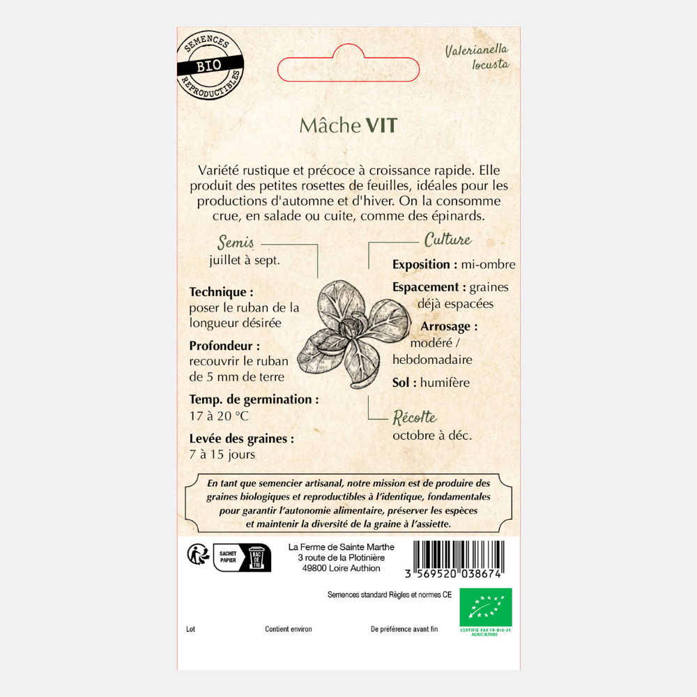 Lamb's lettuce 'Vit' seed tape BIO