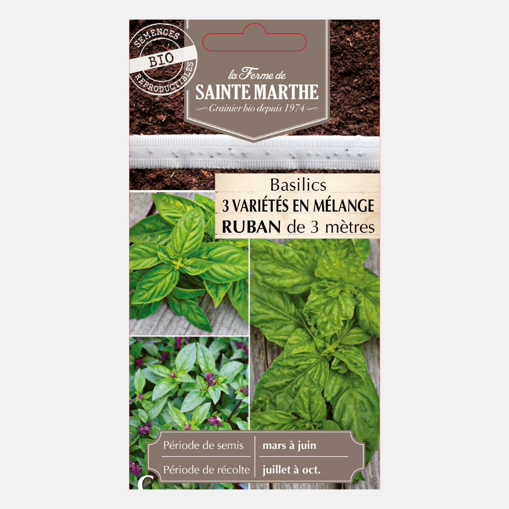 Mélange de graines de basilic BIO