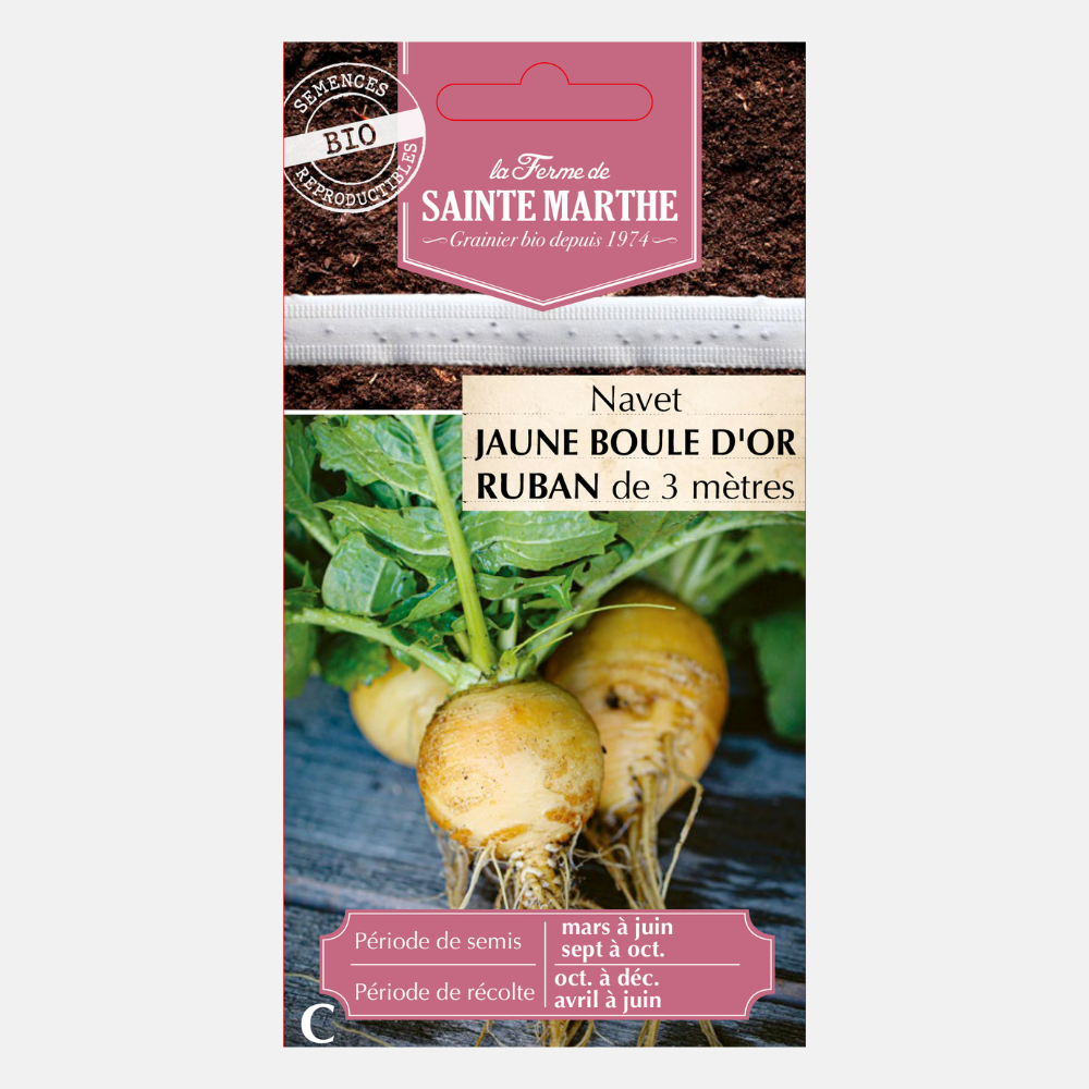 Zaailint meiraap 'Jaune Boule D'Or' BIO