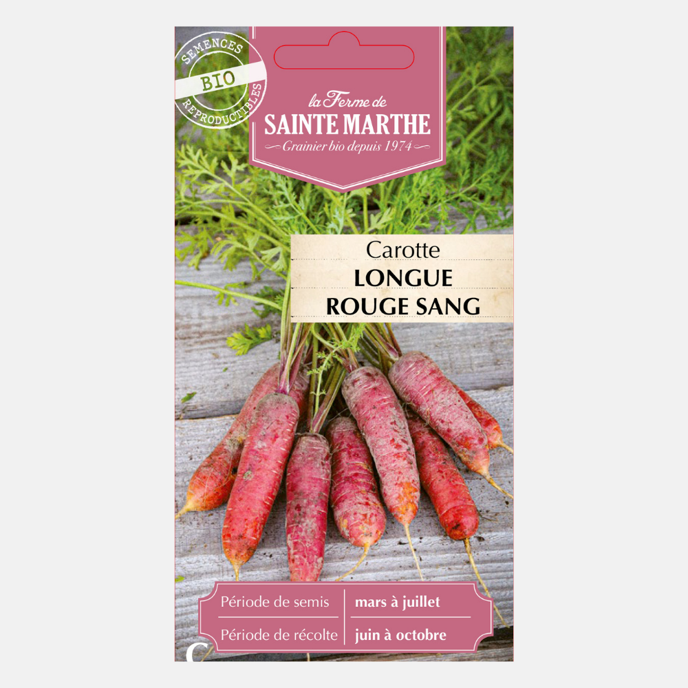 Wortel 'Lange Bloedrode' BIO