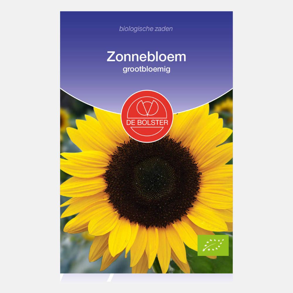 Tournesol à grandes fleurs BIO