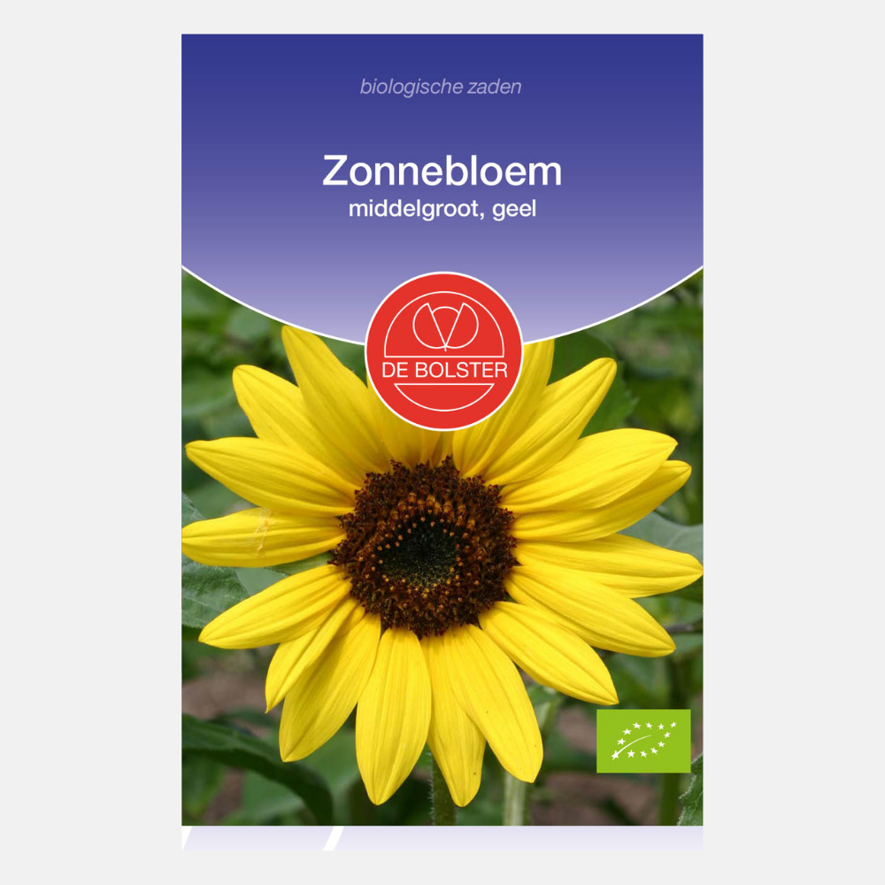 Tournesol, moyen, jaune BIO