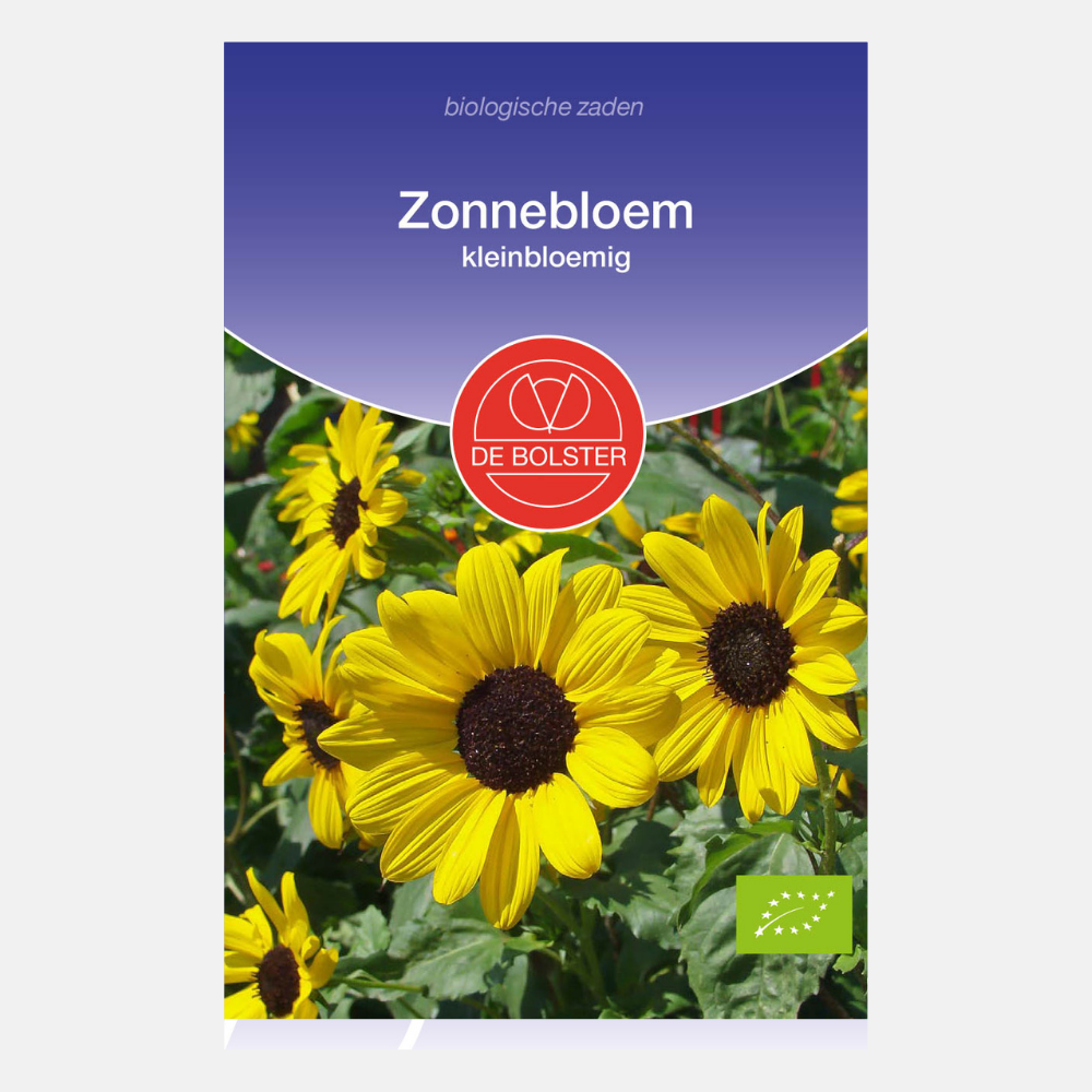 Tournesol à petites fleurs BIO