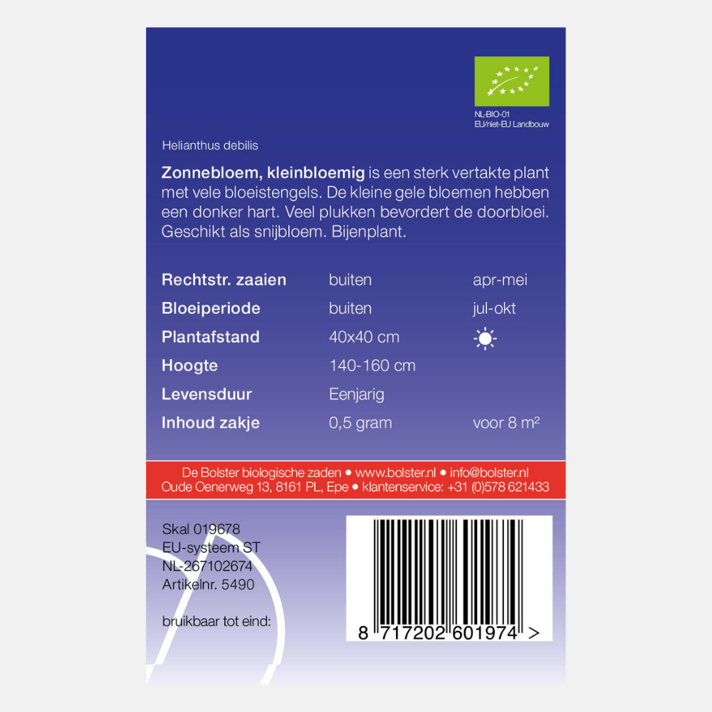 Tournesol à petites fleurs BIO