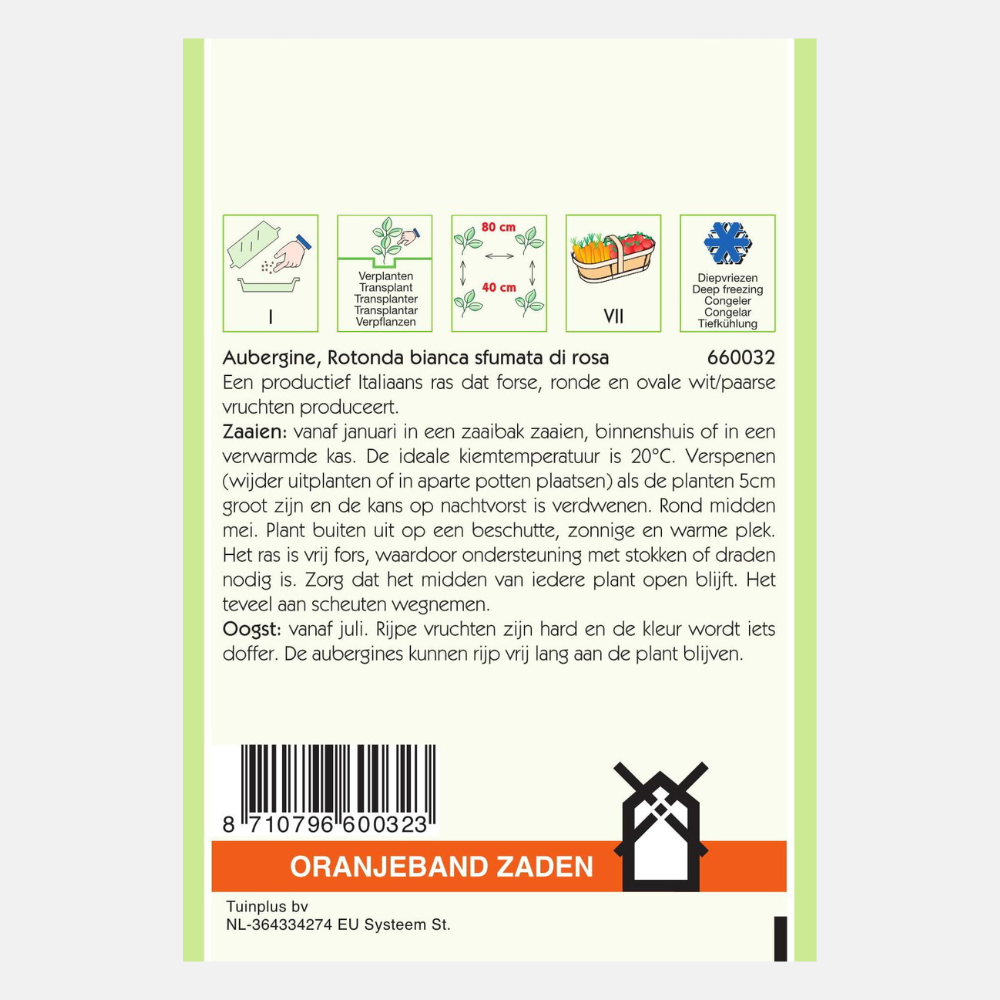 Eggplant 'Rotonda bianca sfumata di rosa'