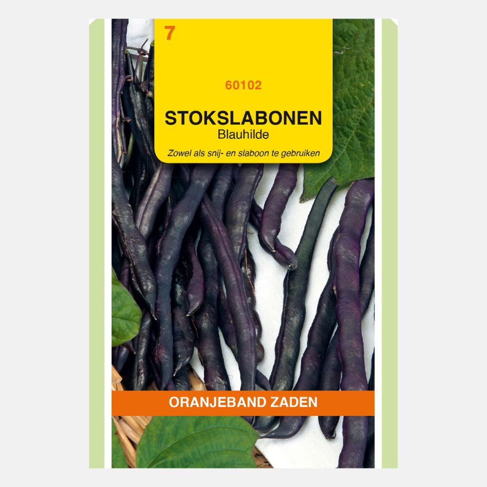 Stokprinsessenbonen paars 'Blauhilde'