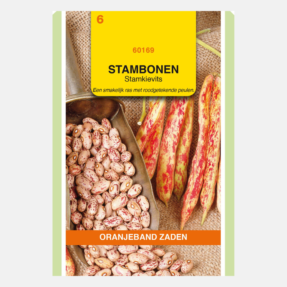 Bush bean Lapwing bean