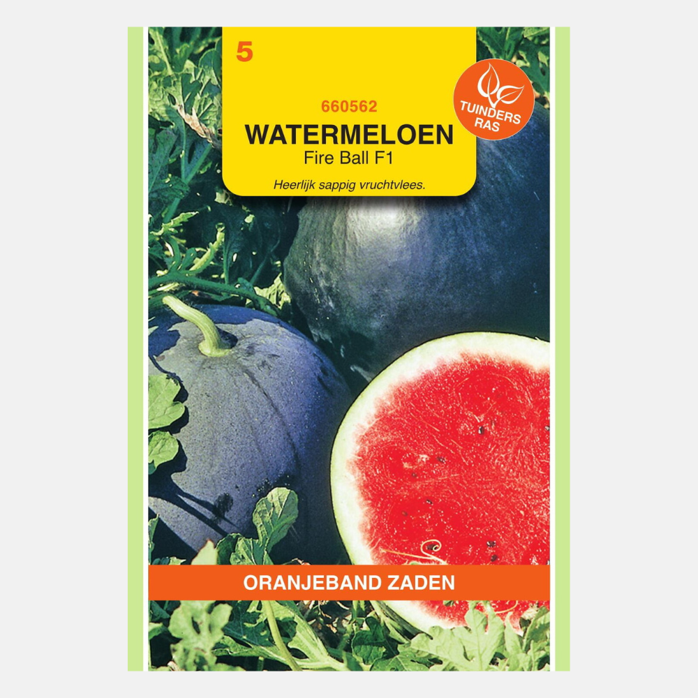 Watermeloenen 'Red Star' F1