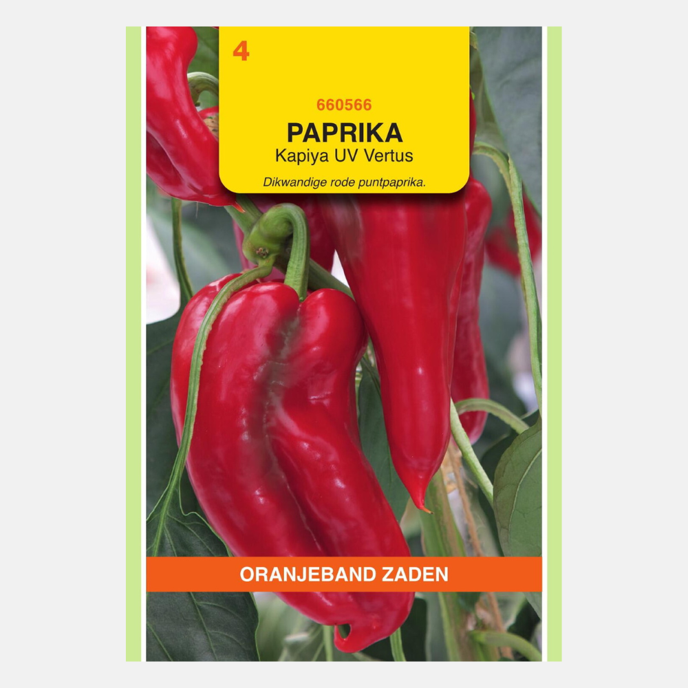 Red pointed pepper 'Kapiya'