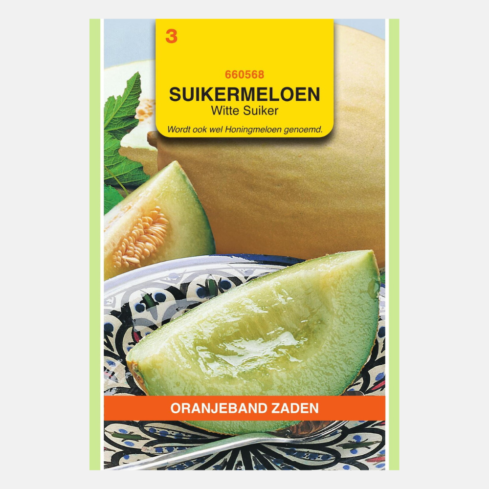 Sugar Melon 'White Sugar'