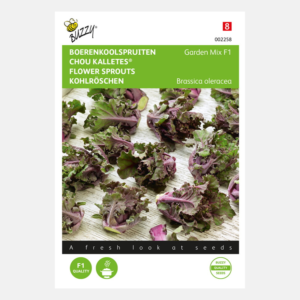 Kale sprouts/Kalettes 'Garden Mix' F1
