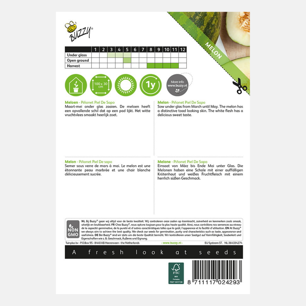 Melon 'Piñonet Piel De Sapo'