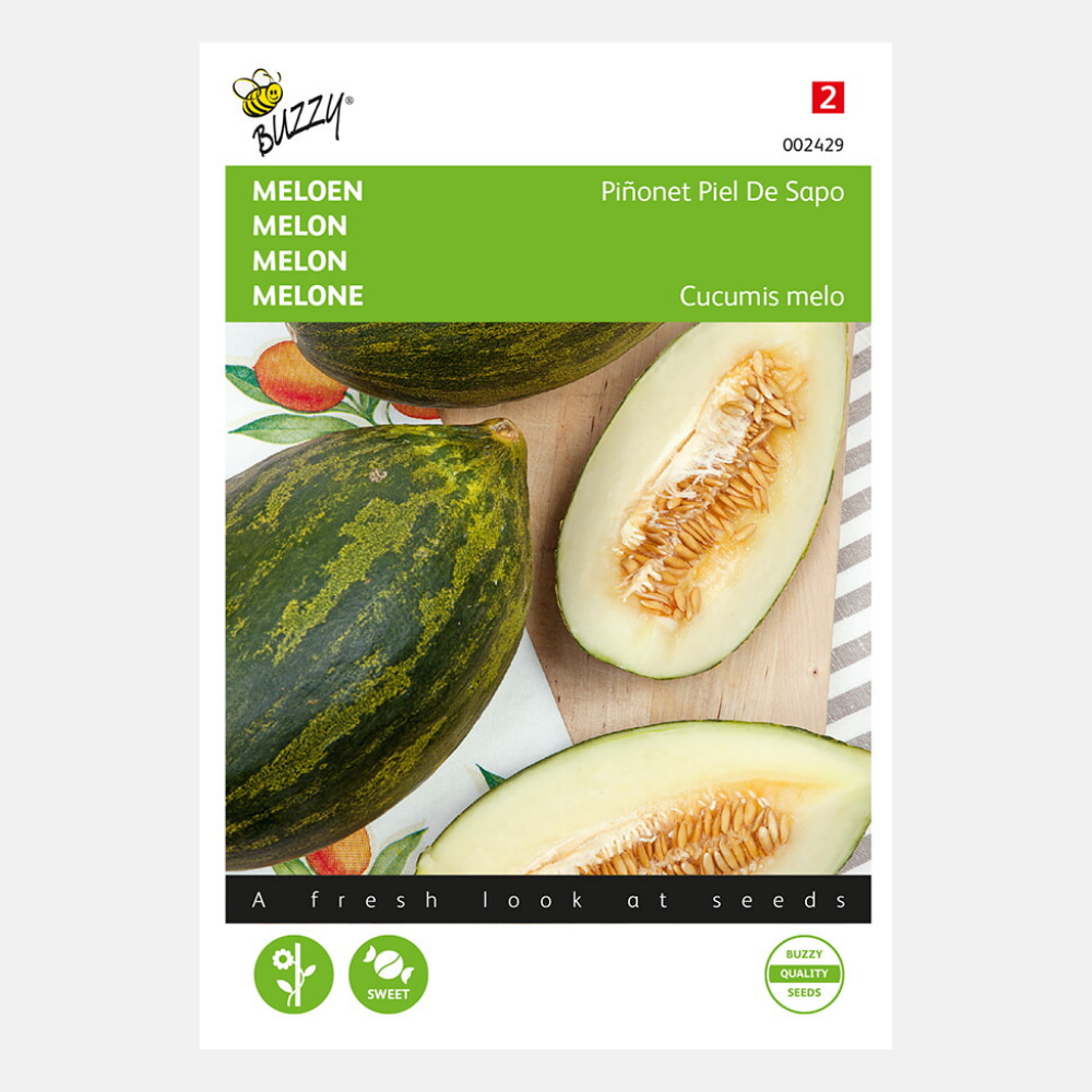 Melon 'Piñonet Piel De Sapo'