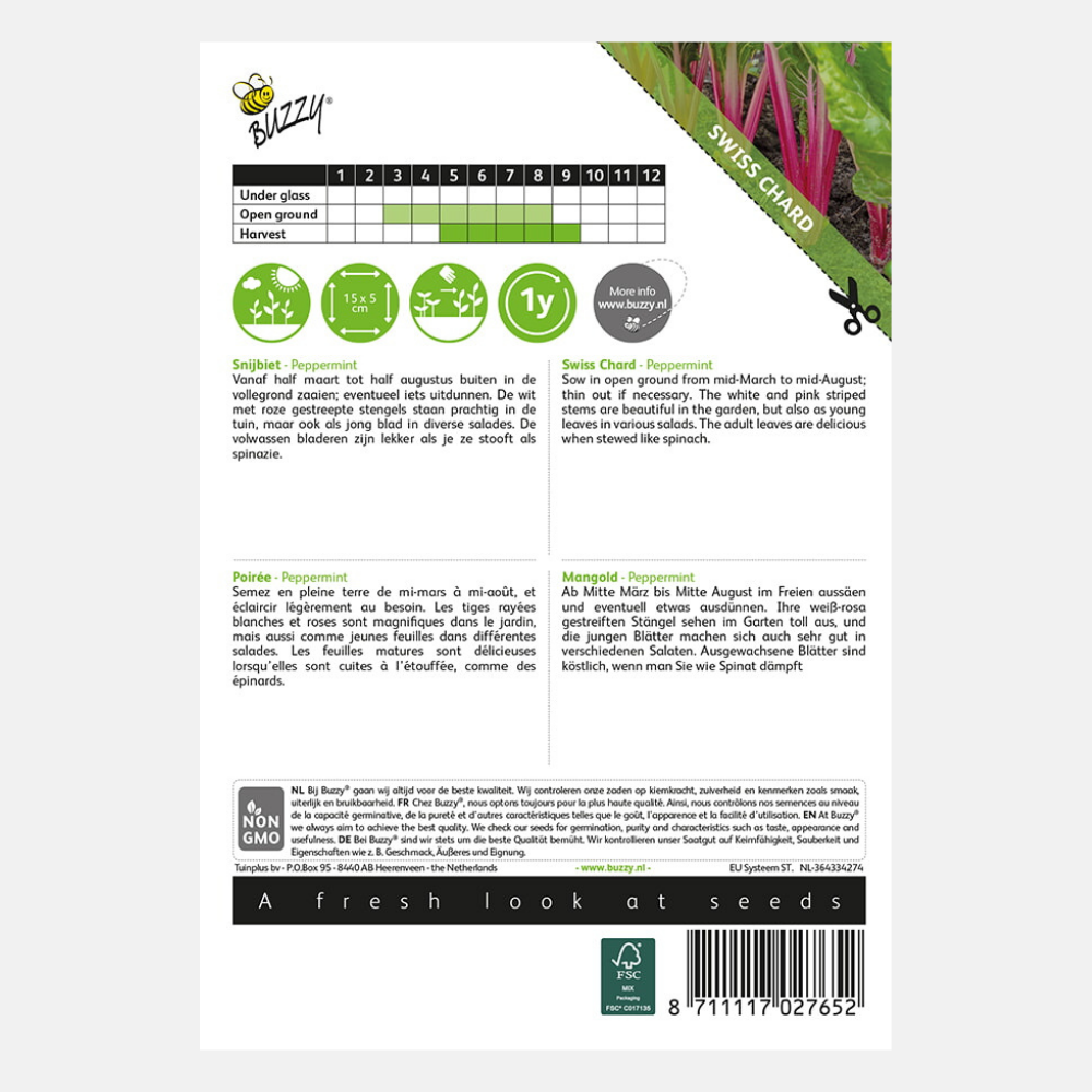 Blette 'Menthe poivrée'