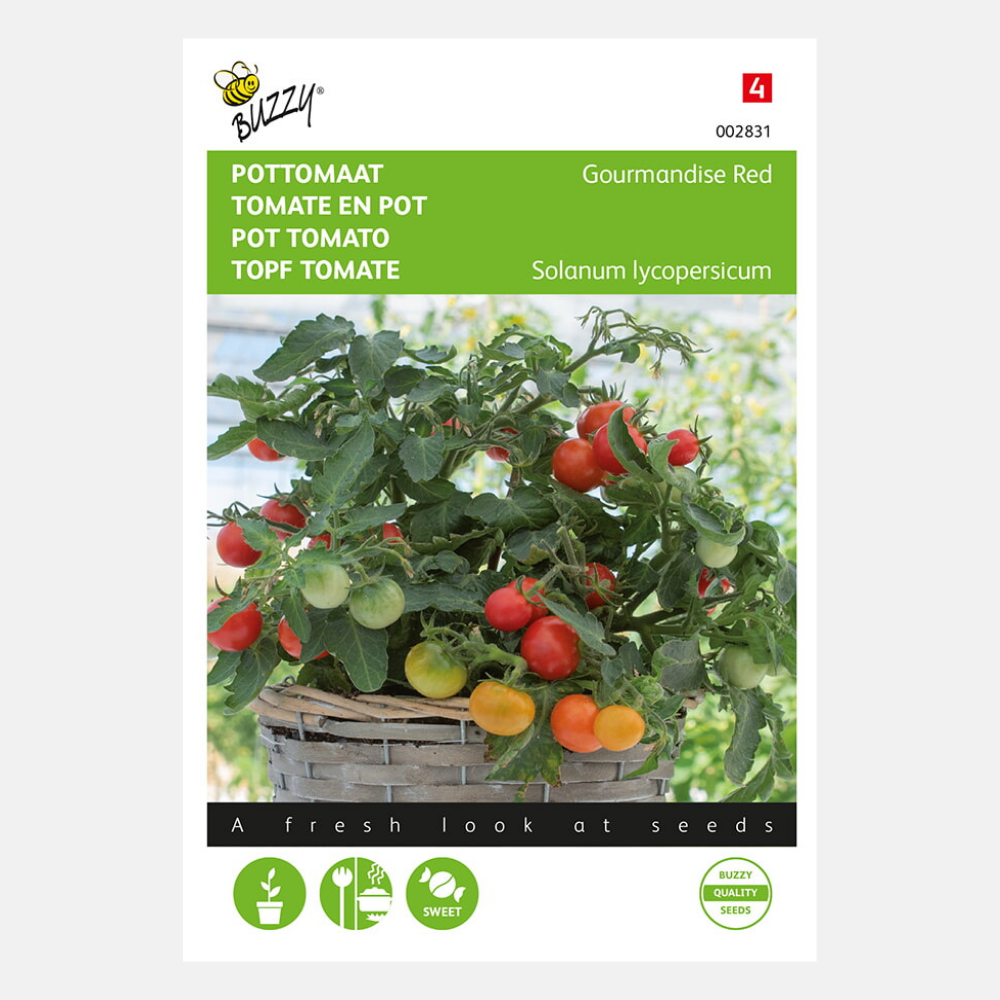 Tomate cerise 'Micro Cherry'