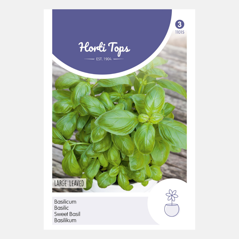 Basilicum - grootbladig