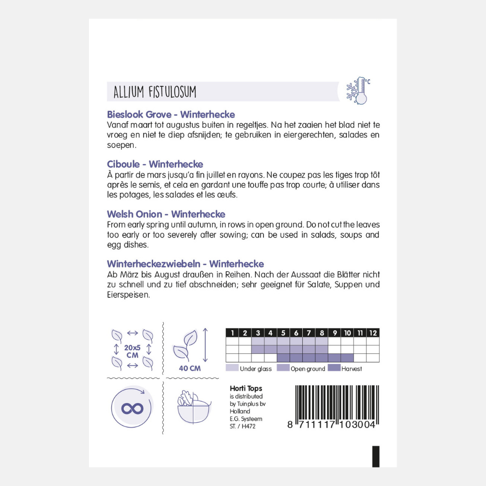 Coarse Chives - Allium Fistulosum