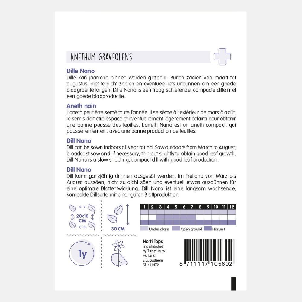 Dill 'Nona' - compact growing variety